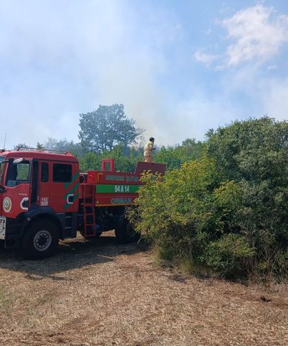 Kaynarca’da ormanlık alanda yangın