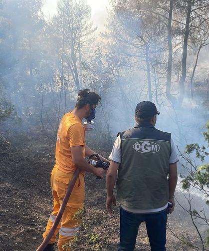 Göynük'te orman yangını
