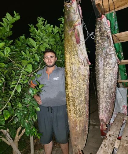Sakarya Nehri'nden 34 kiloluk dev yayın çıktı