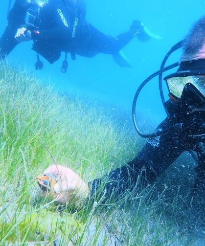 Karadeniz kıyılarındaki ilk su altı kazısında 2 bin 500 yıllık tarihe daldılar