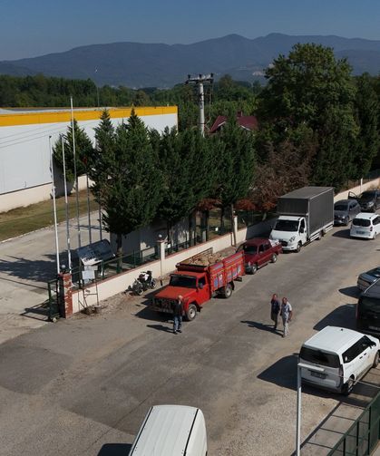 Fındık alımı başladı, araçlar kapı önünde kuyruk oldu