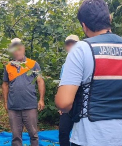 Fındık tarlalarında jandarma nöbeti