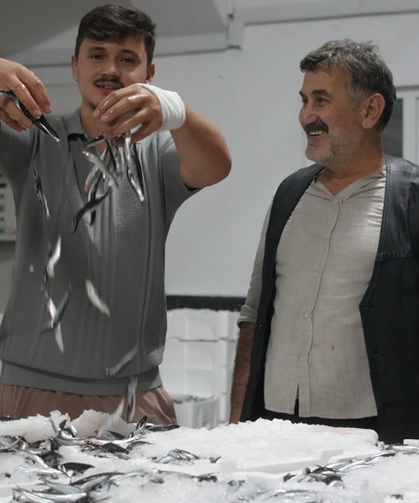 Karadeniz'de çifte bereket: Hem palamut hem hamsi bolluğu