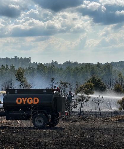 Sakarya OYGD gönüllüleri Bursa'daki yangına müdahale etti