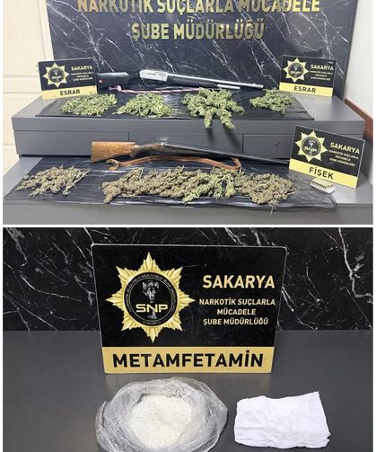 Sakarya'da iki ilçede 'sokaklar güvende' operasyonu: 2 gözaltı