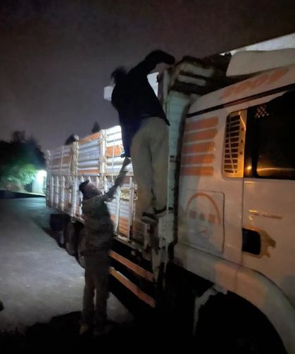 Akyazı gişelerinde belgesiz hayvan sevkiyatı denetime takıldı