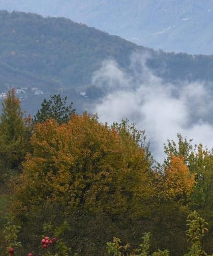 Dikmen Yaylası sonbaharın renklerine büründü