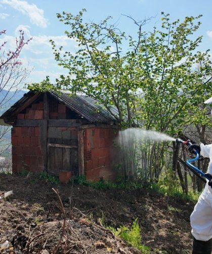 Kahverengi kokarcaya karşı güç birliği