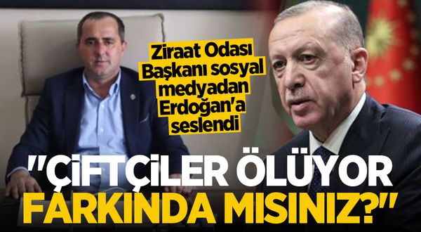 Ziraat Odası Başkanı sosyal medyadan Erdoğan'a seslendi: Çiftçiler ölüyor farkında mısınız?
