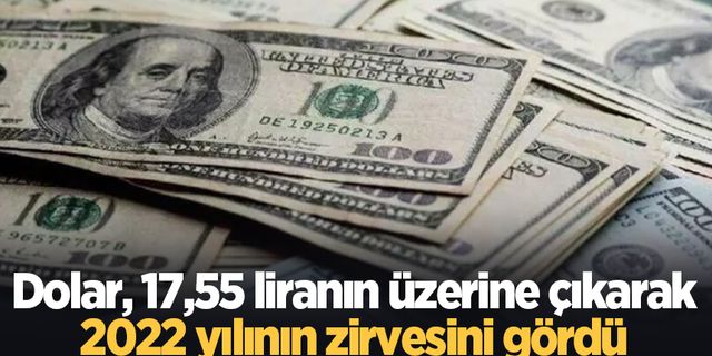 Yılın zirvesi: Dolar, 17,56 lirayı gördü