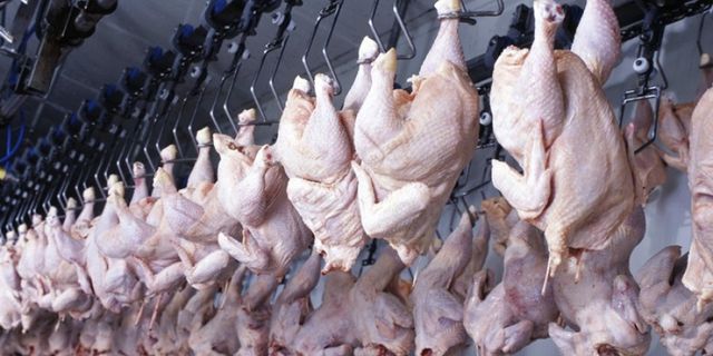 Tavuk eti üretimi azaldı