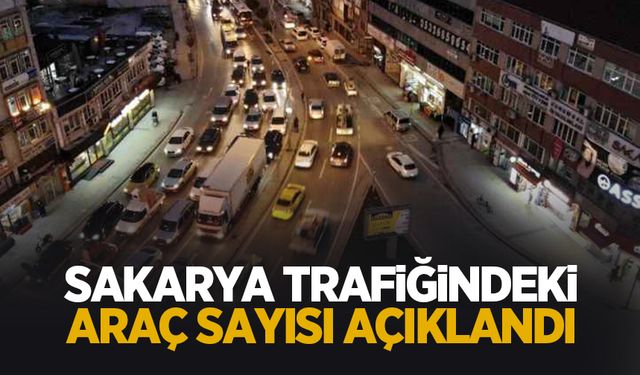 TÜİK, Sakarya'da trafiğe kayıtlı araç sayısını açıkladı