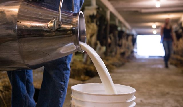 933 bin 234 ton inek sütü toplandı