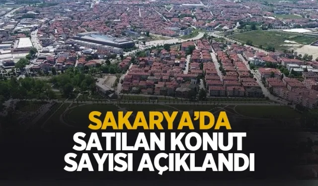 Sakarya'da Eylül ayında satılan konut sayısı açıklandı