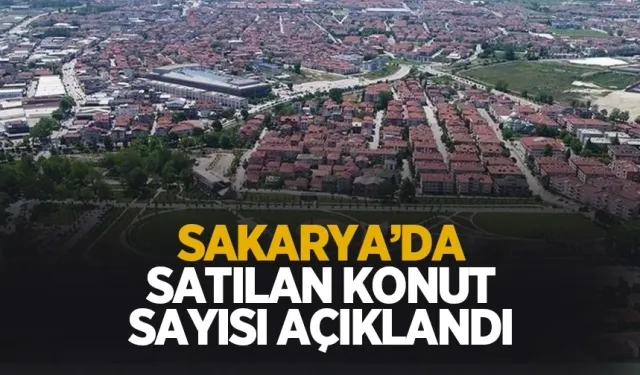 Sakarya'da Mayıs ayında satılan konut sayısı açıklandı