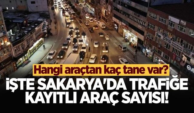 Sakarya'da araç sayısı 450 bini aştı! İşte trafikteki araç sayısı
