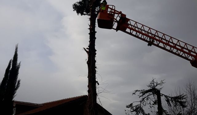 İtfaiye ağaçları kesip evi kurtardı