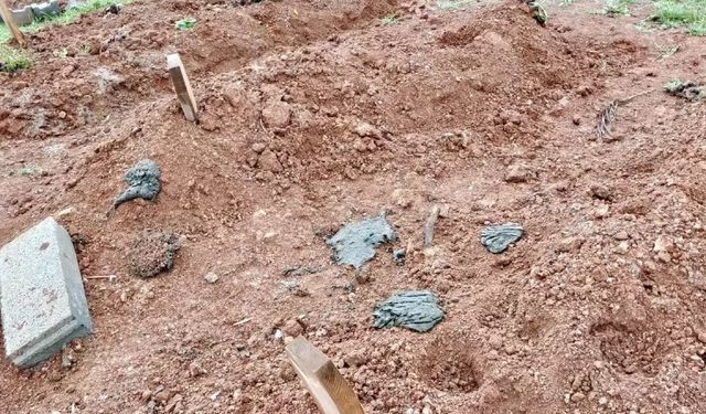 Karasu'da 'inekler mezarlarımızı çiğniyor' şikayeti