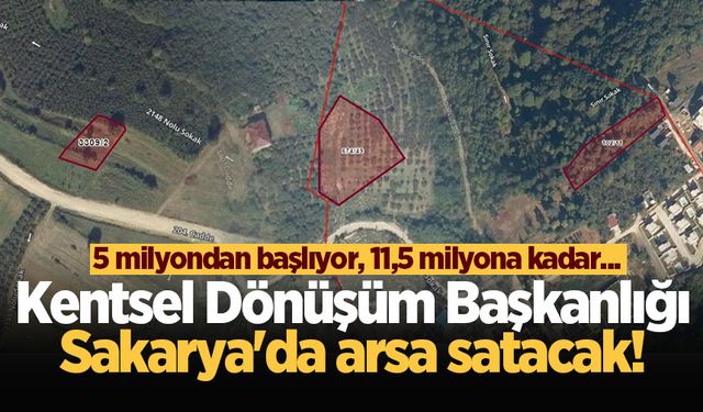 Kentsel Dönüşüm Başkanlığı Sakarya'da arsa satacak! 5 milyondan başlıyor, 11,5 milyona kadar...