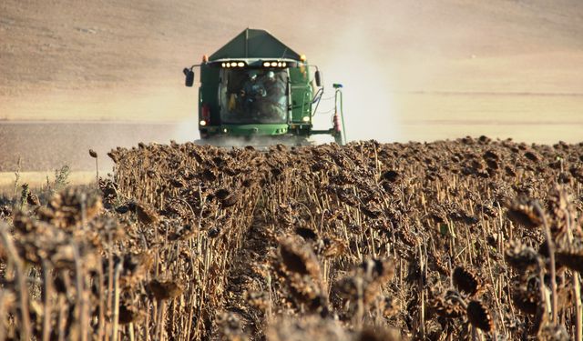 Tarım-ÜFE yıllık yüzde 54,58 arttı