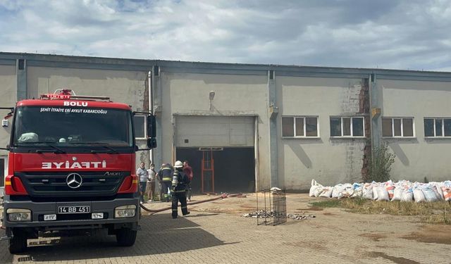 Mangal kömürü üreten fabrika az kalsın küle dönüyordu