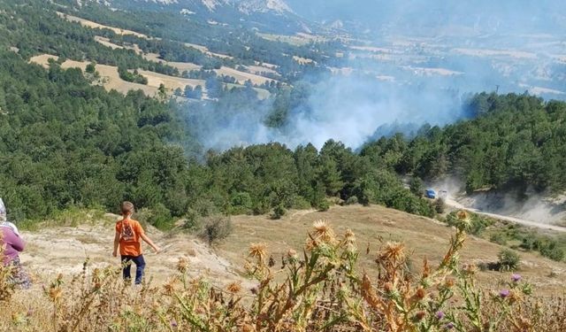 Bilecik'te son 2 günde 3'üncü orman yangını