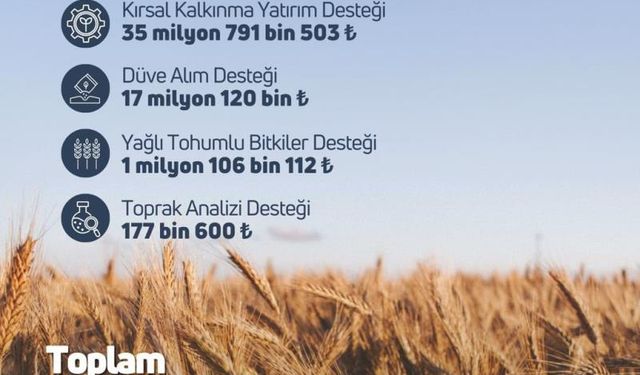 Tarım ve Orman Bakanlığı: “119,1 milyon liralık tarımsal destek ödemesi hesaplara aktarıldı”
