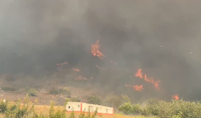 Orman yangını kontral altına alındı