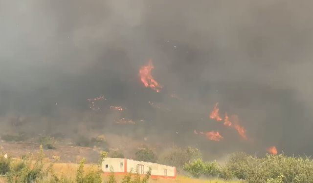 İznik'te orman yangını