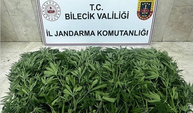 Bilecik'te uyuşturucu operasyonu: 2 şüpheli tutuklandı