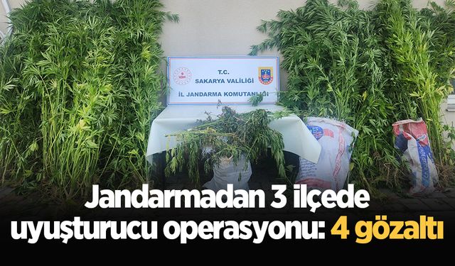 Jandarmadan 3 ilçede uyuşturucu operasyonu: 4 gözaltı