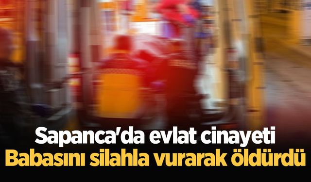 Sapanca'da evlat cinayeti: Babasını silahla vurarak öldürdü