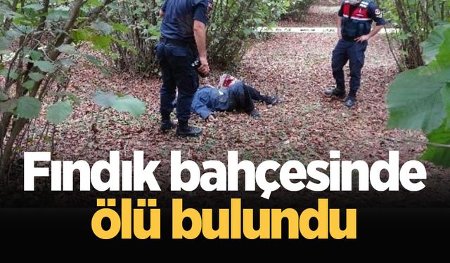 Bir kişi fındık bahçesinde ölü bulundu