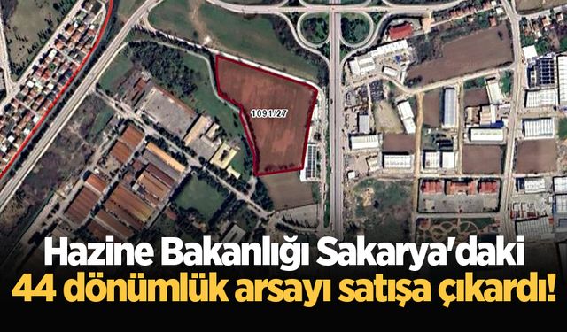 Hazine Bakanlığı Sakarya'daki 44 dönümlük arsayı satışa çıkardı!