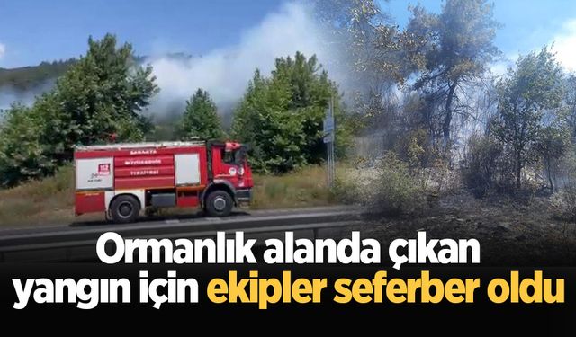 Ormanlık alanda çıkan yangın için ekipler seferber oldu