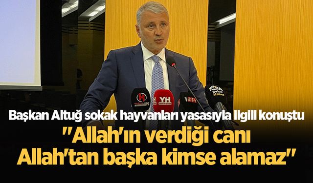 Başkan Altuğ sokak hayvanları yasasıyla ilgili konuştu: "Allah'ın verdiği canı Allah'tan başka kimse alamaz"