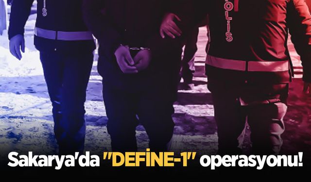 Sakarya'da "DEFİNE-1" operasyonu!