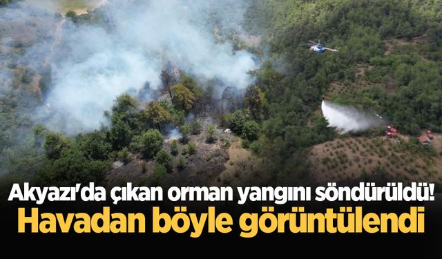 Akyazı'da çıkan orman yangını söndürüldü! Havadan böyle görüntülendi