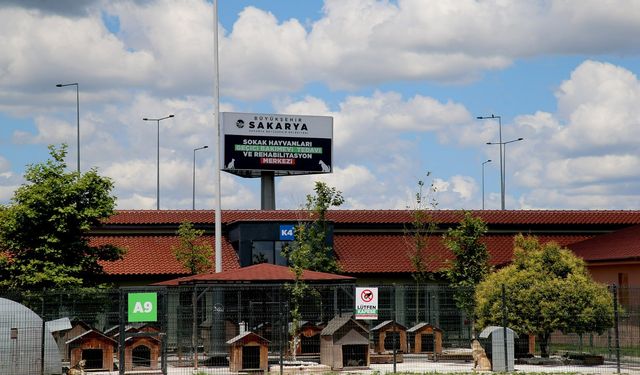 Can dostlar Büyükşehir’in ‘Pati İzi’ ile yuvalarını buluyor: ‘Sahiplendirme’ kampanyası başladı