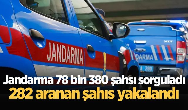 Jandarma 78 bin 380 şahsı sorguladı, 282 aranan şahıs yakalandı