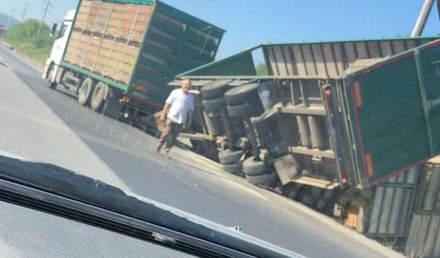 Tavuk yüklü TIR'ın dorsesi devrildi