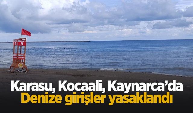 Sakarya'da denize girişler yasaklandı