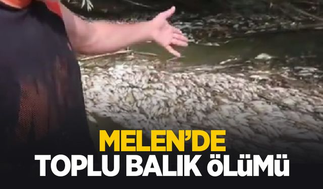 Melen'de toplu balık ölümü