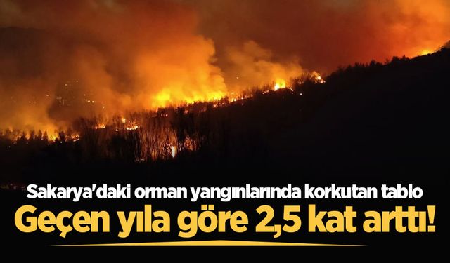 Sakarya'daki orman yangınlarında korkutan tablo: Geçen yıla göre 2,5 kat arttı!