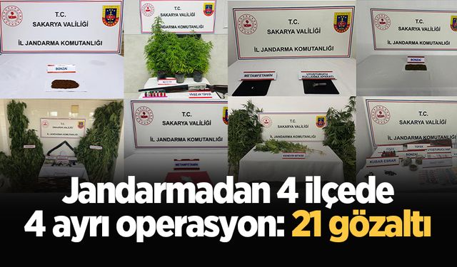 Jandarmadan 4 ilçede 4 ayrı operasyon: 21 gözaltı