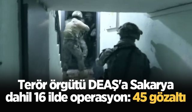 Terör örgütü DEAŞ'a Sakarya dahil 16 ilde operasyon: 45 gözaltı