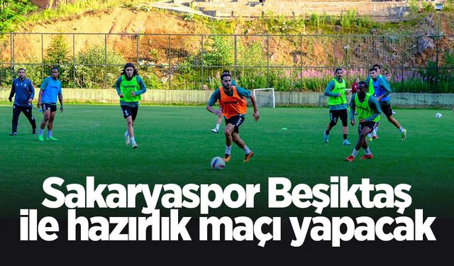Sakaryaspor ve Beşiktaş hazırlık maçı yapacak
