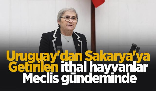 Uruguay'dan Sakarya'ya getirilen ithal hayvanlar meclis gündeminde