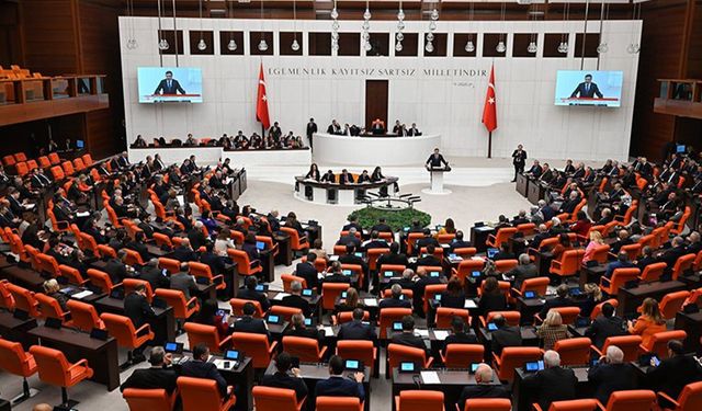 Sokak hayvanlarına ilişkin kanun teklifi 1 Ağustos’a kadar görüşülecek