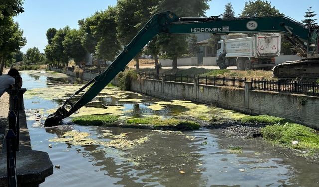 Uludere Çayında temizlik çalışmaları başladı